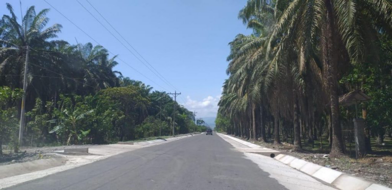 Conavi bajará velocidad en ruta Parrita-Quepos con isla peatonal