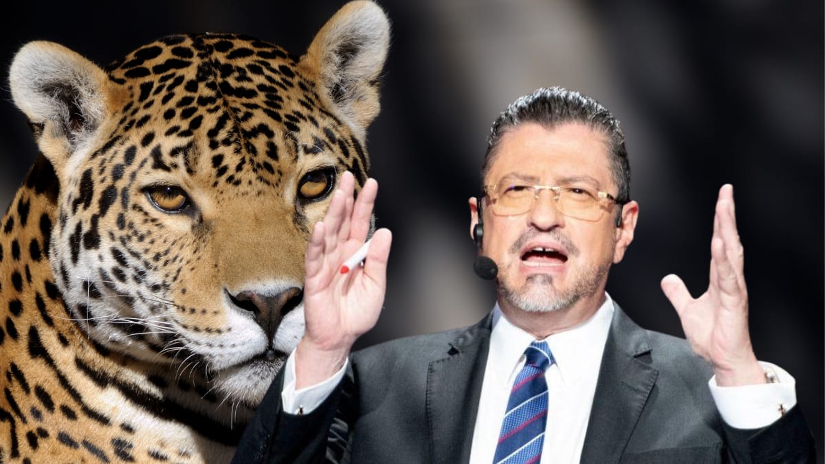 Una Vez más la Contraloría General de la República busca frenar la Ley Jaguar