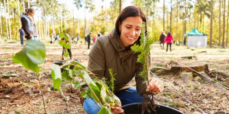 Guanacaste impulsa reforestación con laboratorio ambiental