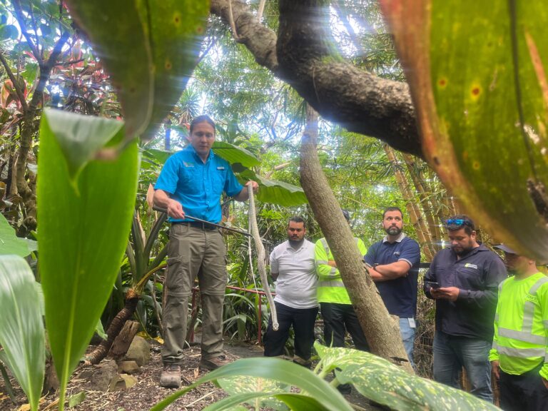 1. Manipulación culebra